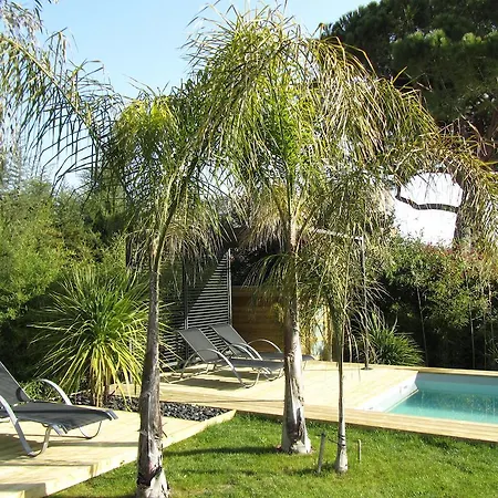 Villa L'oasis Le Cannet